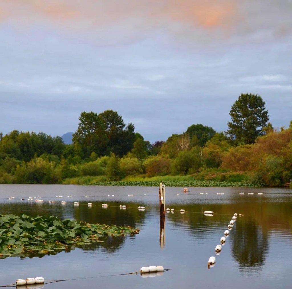 Some of my recent&nbsp;writing